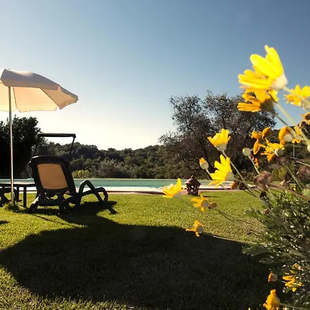 Vakantieboerderij Poggio Sasseta *